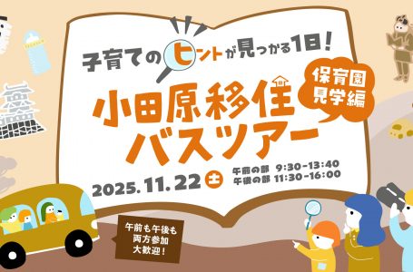 報道発表資料より