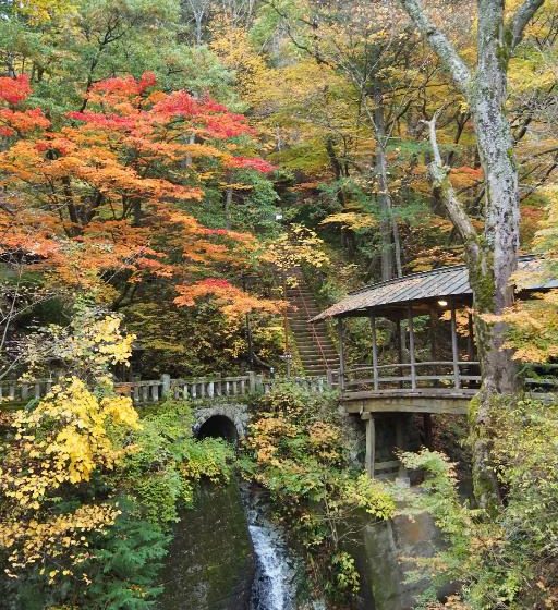  長野県・上田市、ペットと参加できる1泊2日の移住体験ツアーを開催、11/15～16