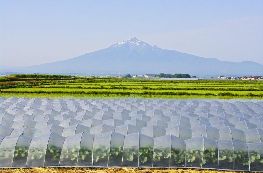  青森県・つがる市、新規就農を担う地域おこし協力隊を募集