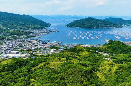 報道発表資料より