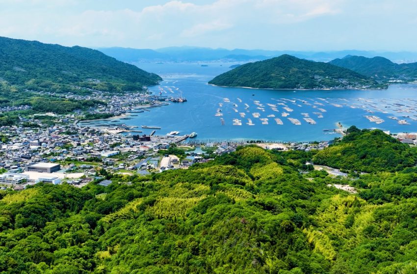  広島県・江田島（えたじま）市、2026年度の地域おこし協力隊を4職種4名募集