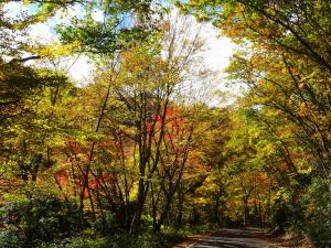  福島県・葛尾村（かつらおむら）、特産品の開発から販売に従事する地域おこし協力隊を1名募集