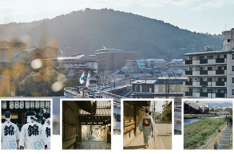 報道発表資料より