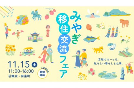 報道発表資料より