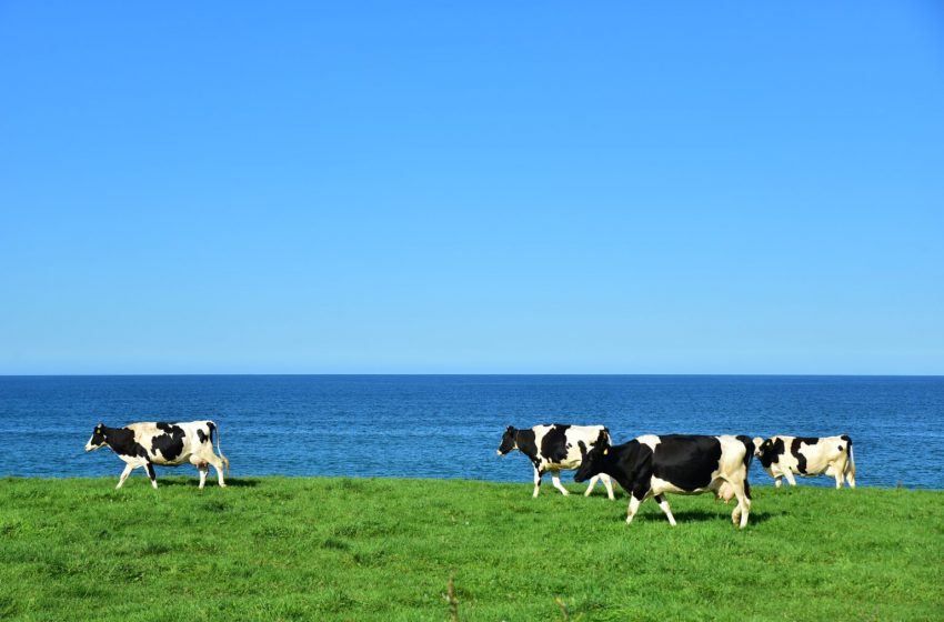  北海道・雄武町（おうむちょう）、3日間の移住体験ツアーを開催、11/22〜24