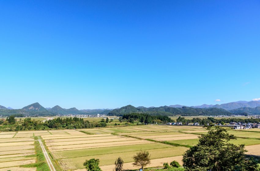  山形県・金山町、みらい留学に取り組む高校生の支援や町内産業継承を担う地域おこし協力隊を3名募集