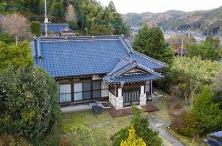 報道発表資料より