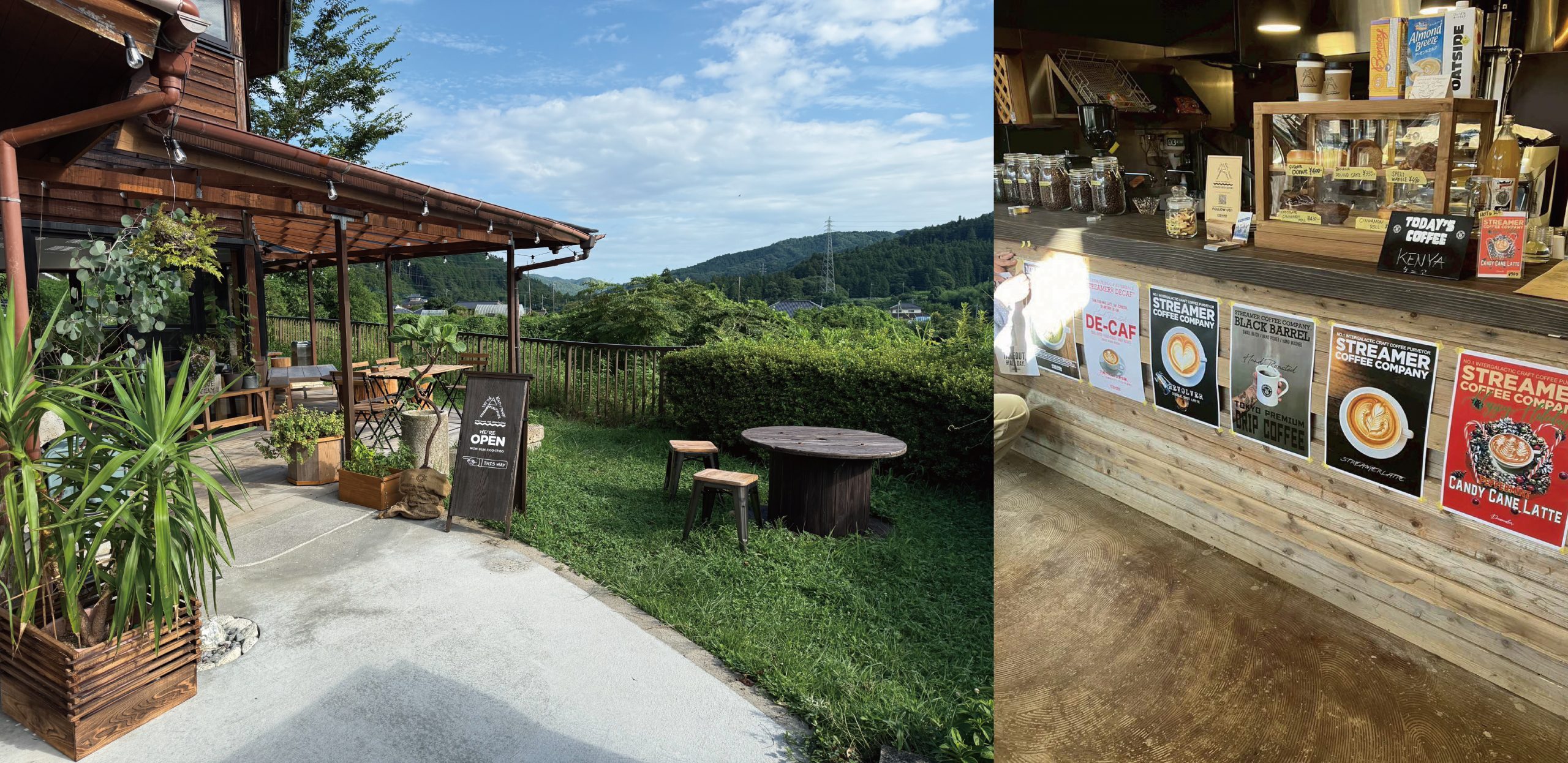 報道発表資料より