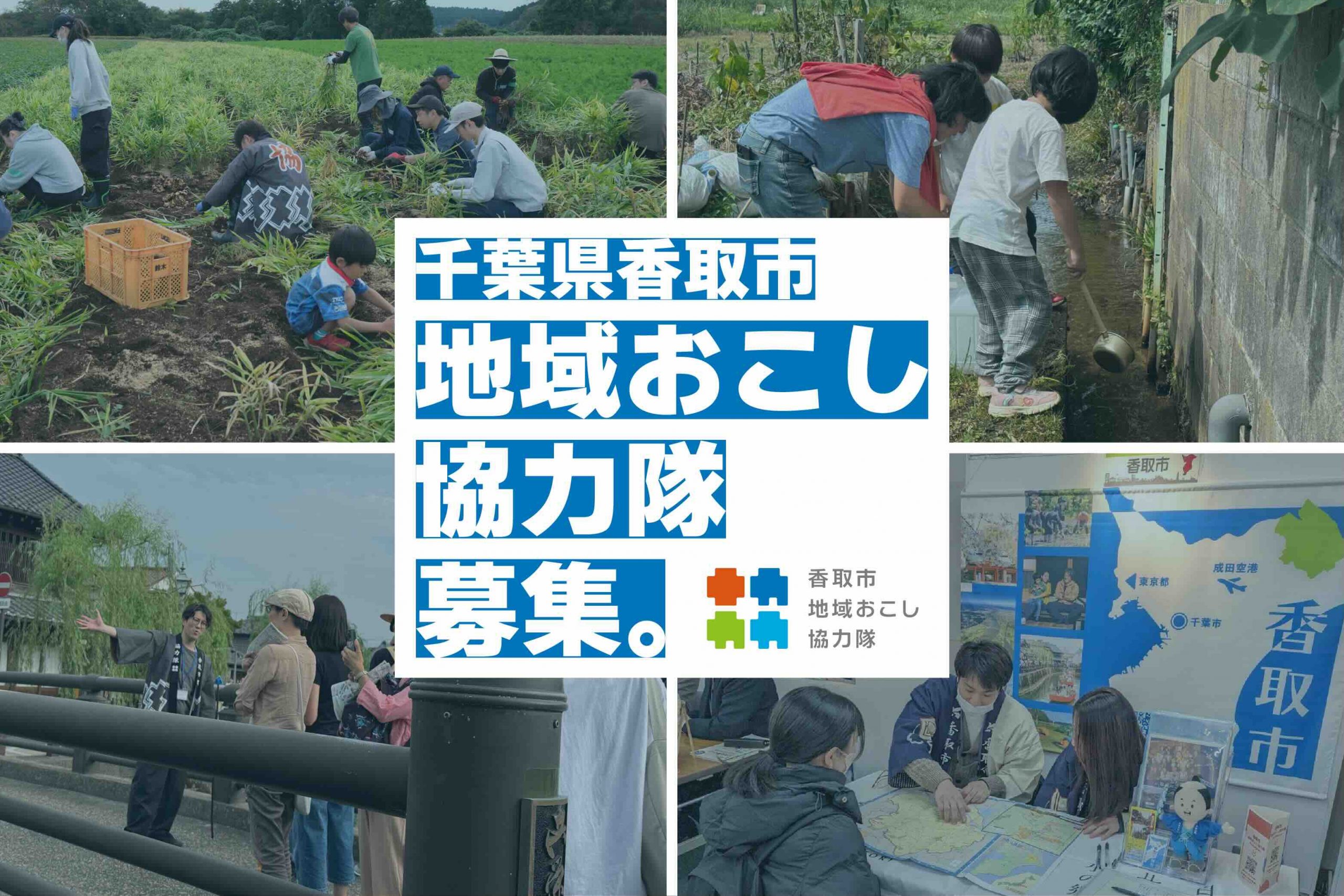 報道発表資料より