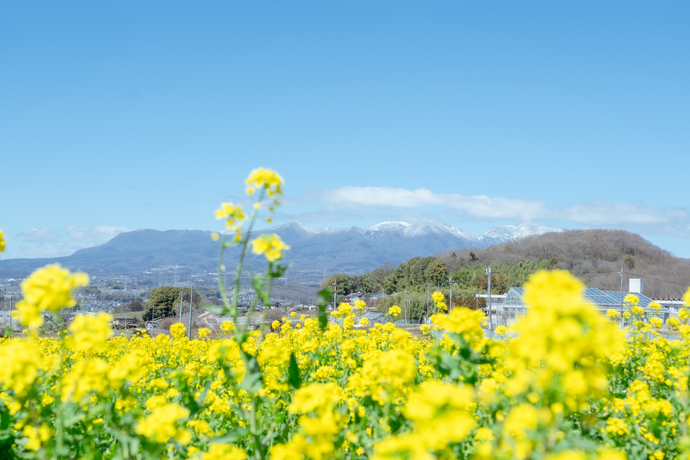  群馬県・みどり市、移住検討者を対象にセミオーダー形式の移住体験ツアーを実施中