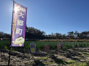  宮城県・大郷町（おおさとちょう）、農業振興、観光、移住促進に従事する地域おこし協力隊を募集