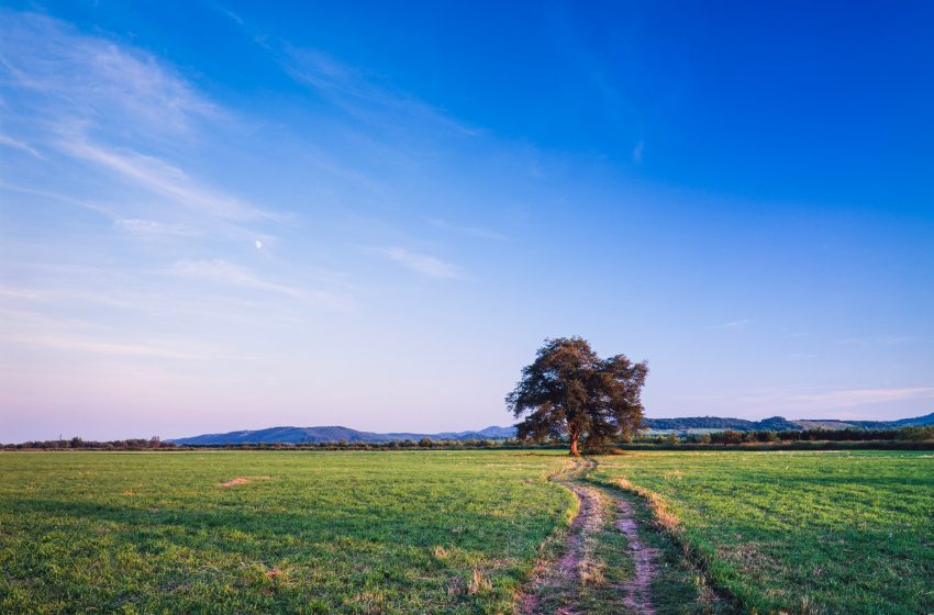  北海道・豊頃町（とよころちょう）、地域おこし協力隊インターンを4名募集