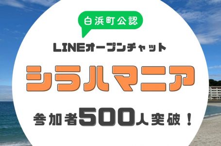 報道発表資料より