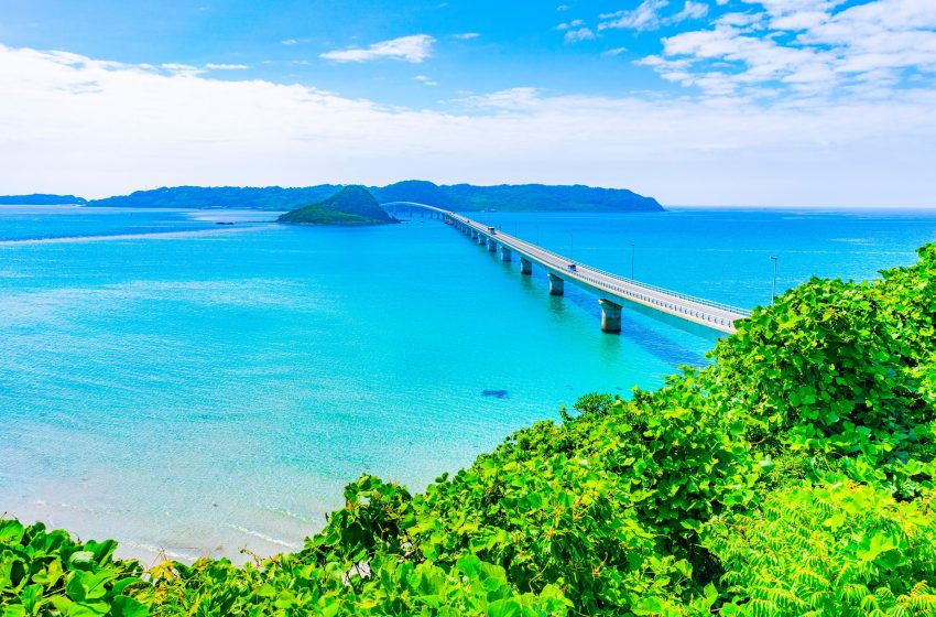  山口県、ワーケーション交流イベントをハイブリッド形式で開催、2/4