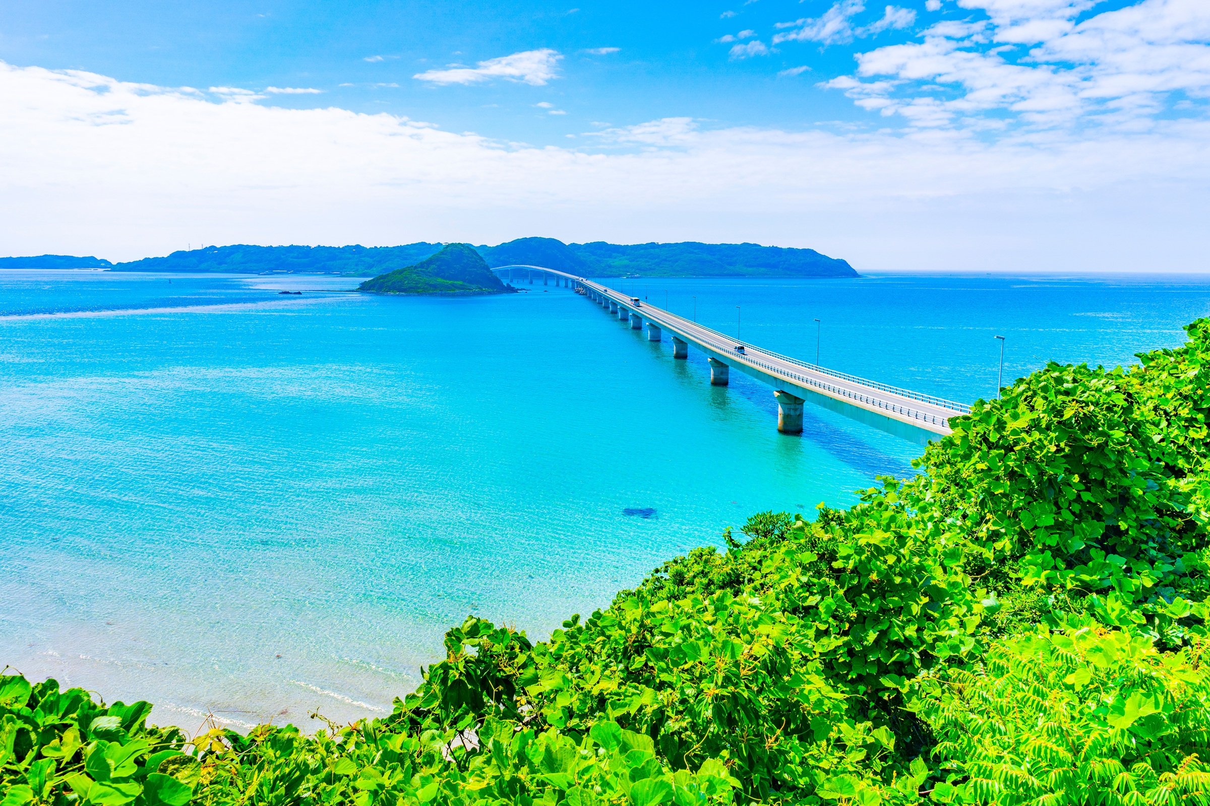 山口県がハイブリッドでワーケーション交流開催