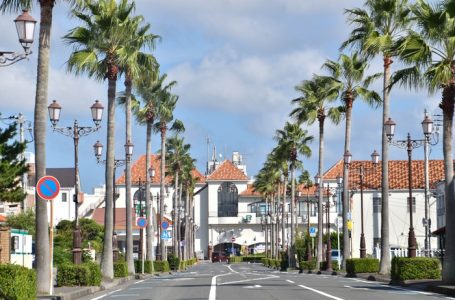 報道発表資料より