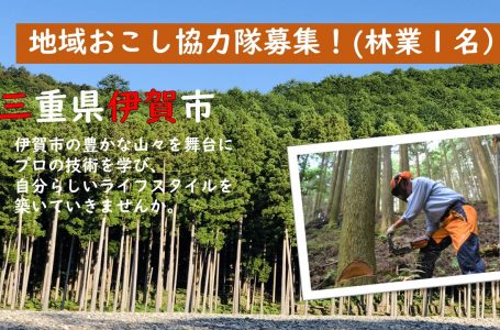 報道発表資料より