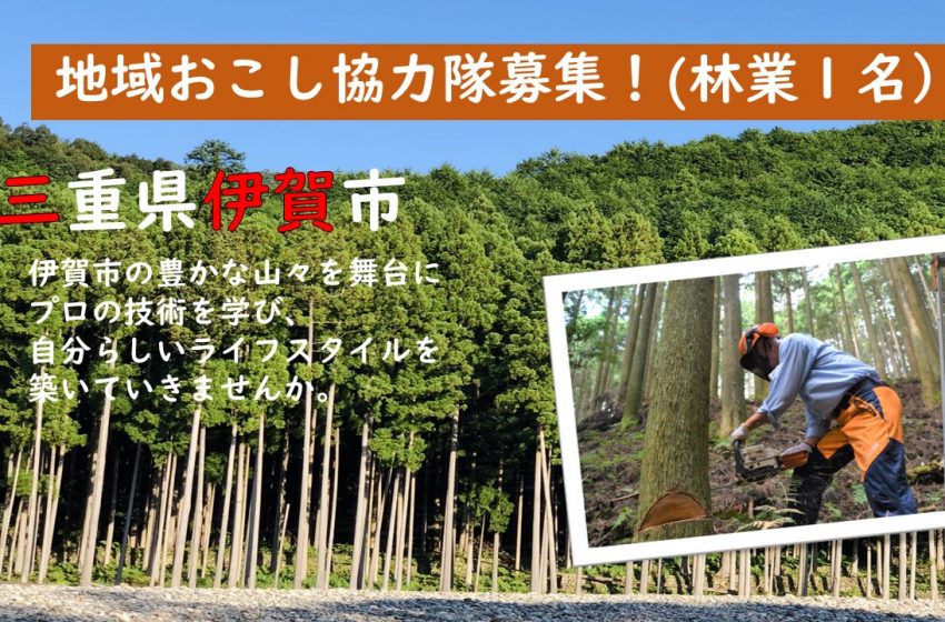  三重県・伊賀市、林業に従事する地域おこし協力隊を募集
