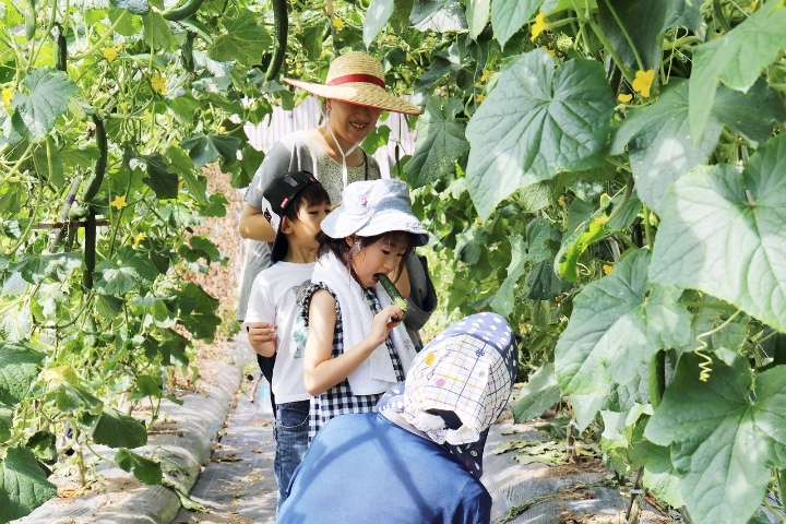  秋田県・北秋田市、おためし移住体験をリアル、オンラインで実施