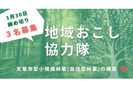 報道発表資料より