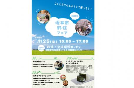 報道発表資料より