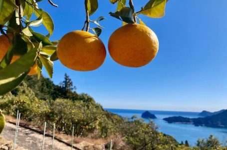 公式サイトより