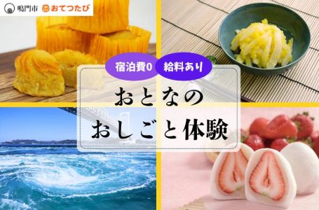 報道発表資料より
