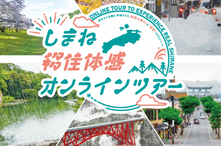 報道発表資料より