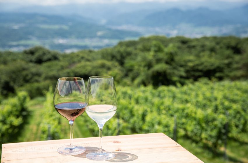  長野県・東御（とうみ）市、ワインシティ推進に従事する地域おこし協力隊を1名募集