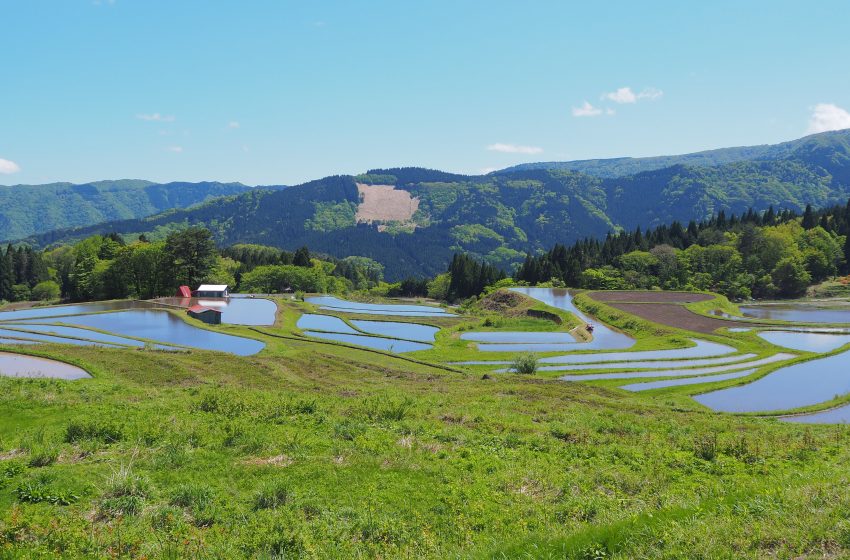  兵庫県・養父（やぶ）市、地域コーディネーターを担う地域おこし協力隊を募集