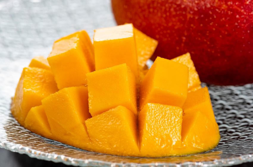  宮崎県・小林市、マンゴー就農に従事する地域おこし協力隊を最大3名募集