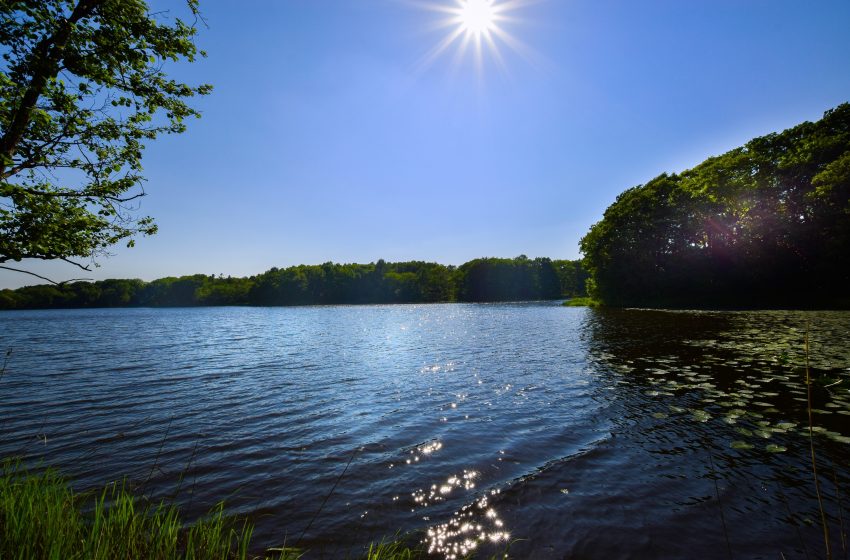  北海道・月形（つきがた）町、観光振興を担う地域おこし協力隊を募集