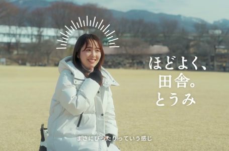 報道発表資料より