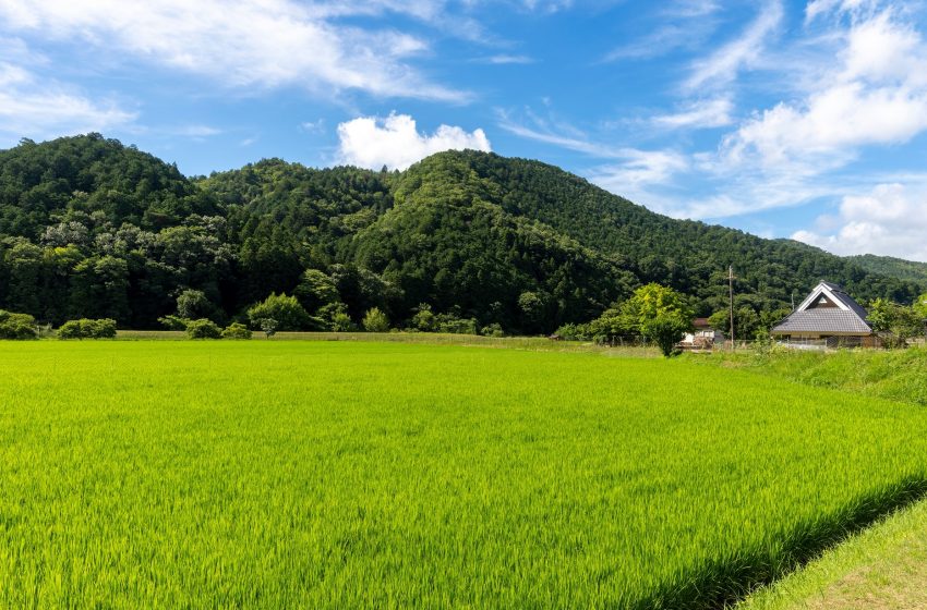  大阪府・豊能（とよの）町、人口減少対策で移住就職応援支援金を開始