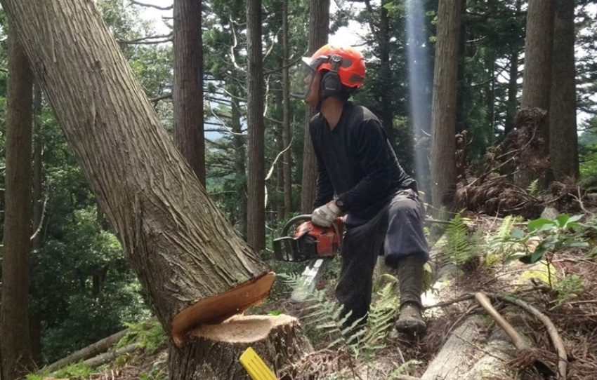  滋賀県・東近江（ひがしおうみ）市、林業に従事する地域おこし協力隊を募集