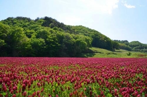  福島県・葛尾（かつらお）村、再生可能エネルギー推進と地域活性化に向け地域おこし協力隊を6名募集