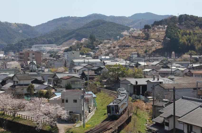 高知県・佐川（さかわ）町、　林業・農業・教育など4分野の地域おこし協力隊を募集