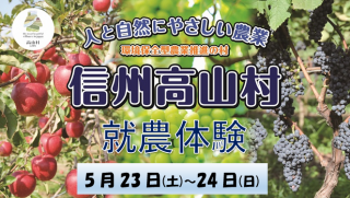  長野県・高山村、りんご摘果の就農体験を開催、新規就農希望者を募集、5/23〜24
