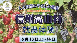  長野県・高山村、新規就農希望者を募集、ぶどう栽培の就農体験を開催、6/13〜14