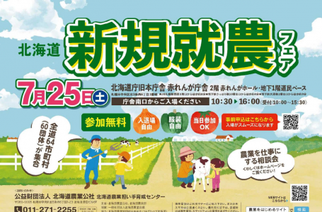 報道発表資料より