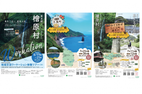 チラシより