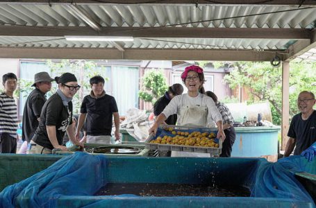 報道発表資料より