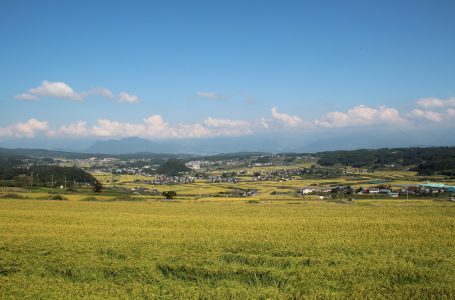 公式サイトより