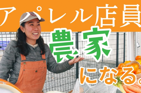報道発表資料より