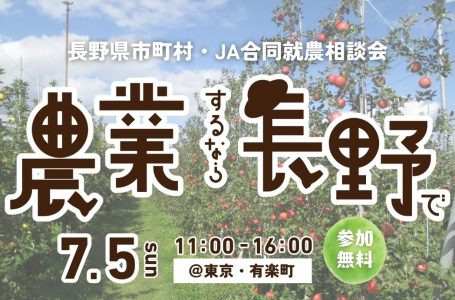 報道発表資料より