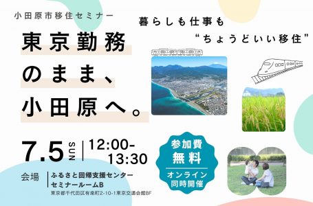 報道発表資料より
