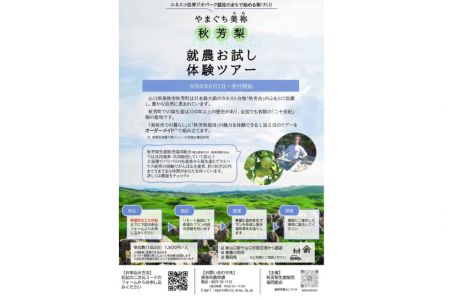 チラシより