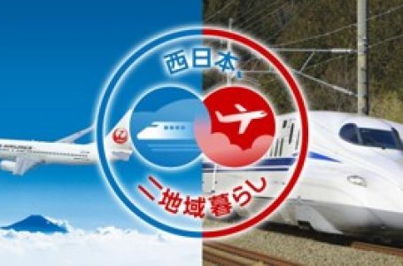 報道発表資料より