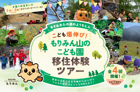 報道発表資料より