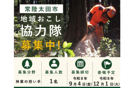 報道発表資料より